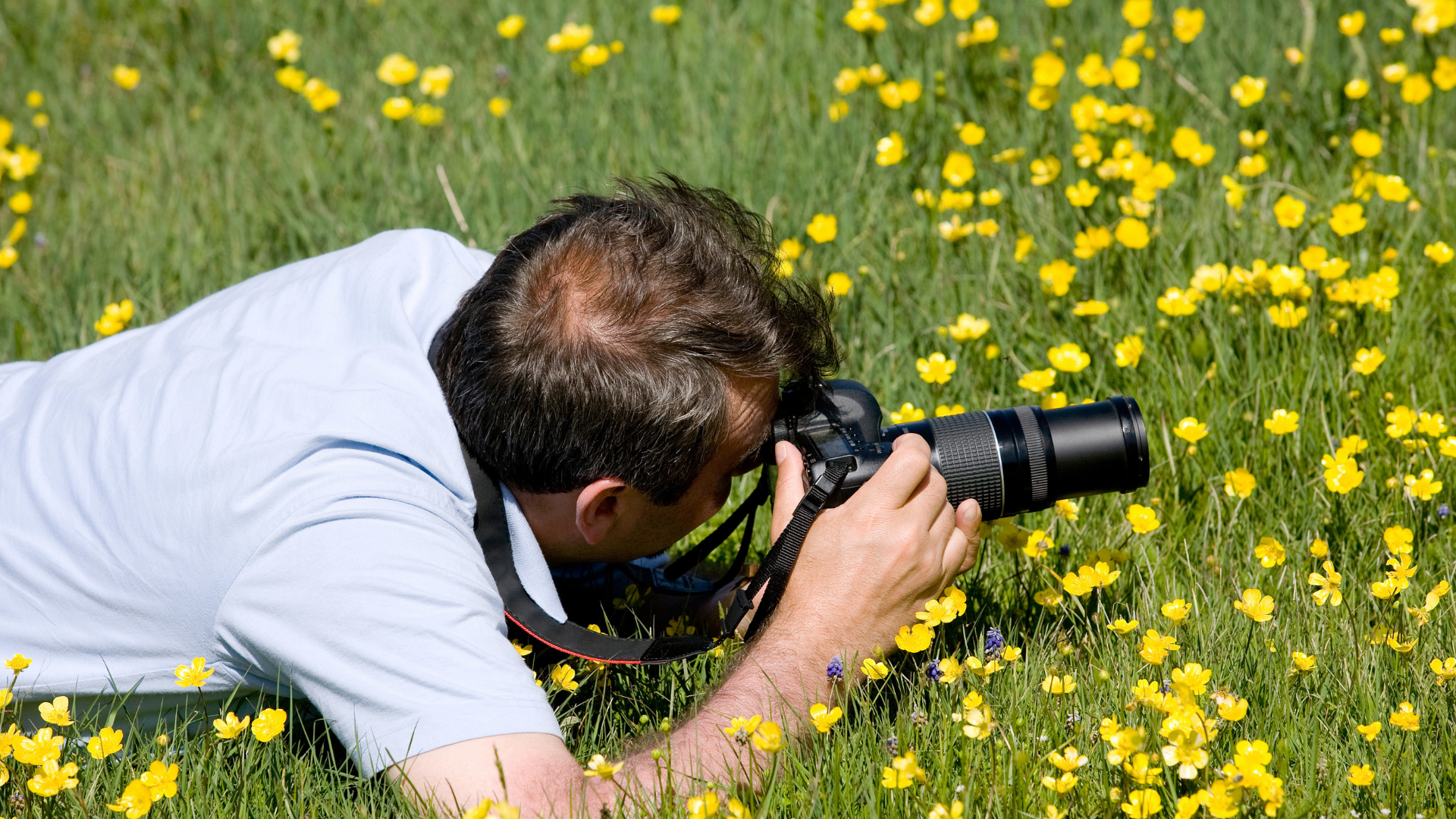Read more about the article How Do You Become a Better Photographer?